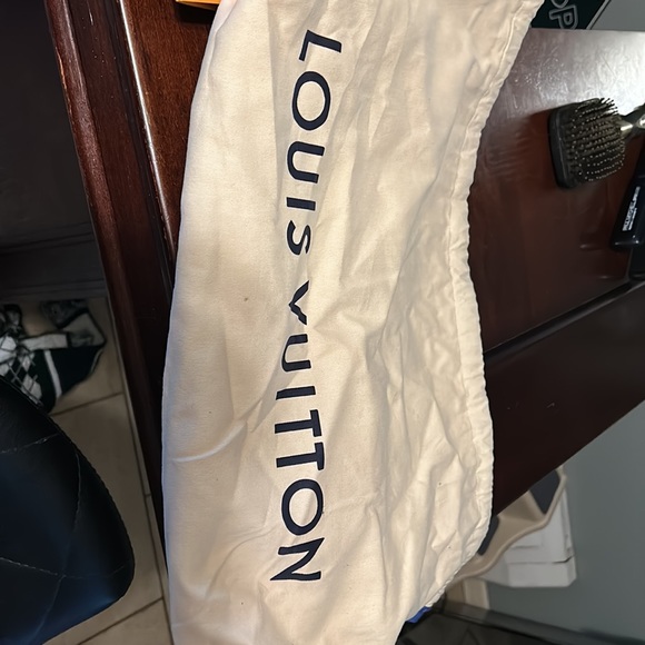 Louie Vuitton bag and dust bag - Picture 2 of 5